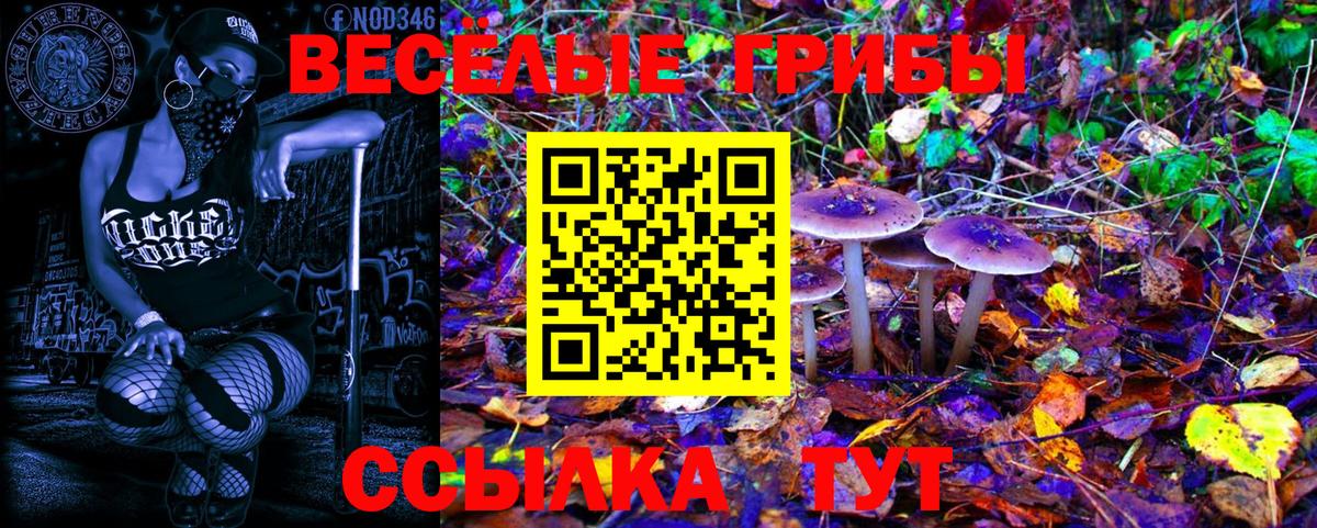 Красный Сулин  Псилоцибиновые грибы Magic Shrooms  Вход с VPN 